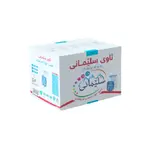 Slemani Drinking Water 200mlx60